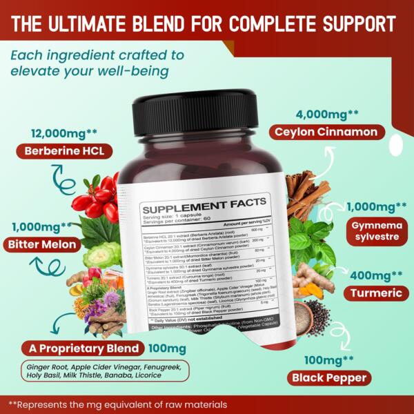 Berberine Supplement - Image 2