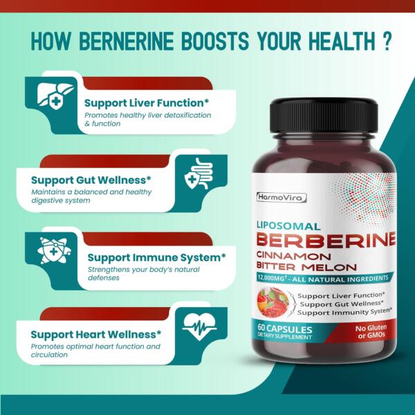 Berberine Supplement - Image 3