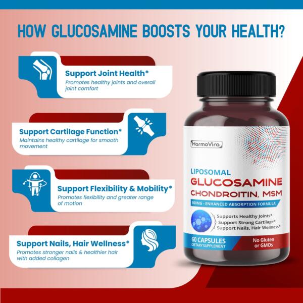 Glucosamine Supplement - Image 3