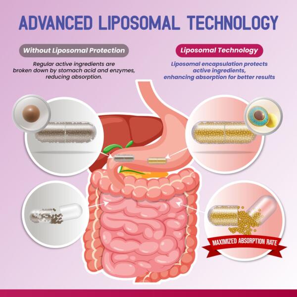 Collagen Supplement - Image 5