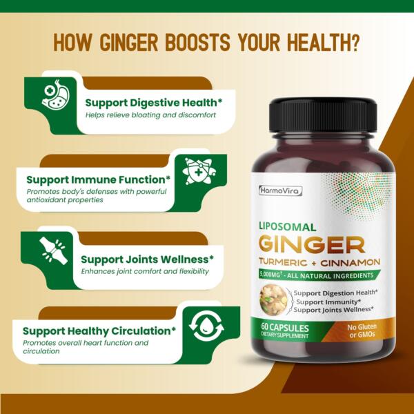 Ginger Supplement - Image 3