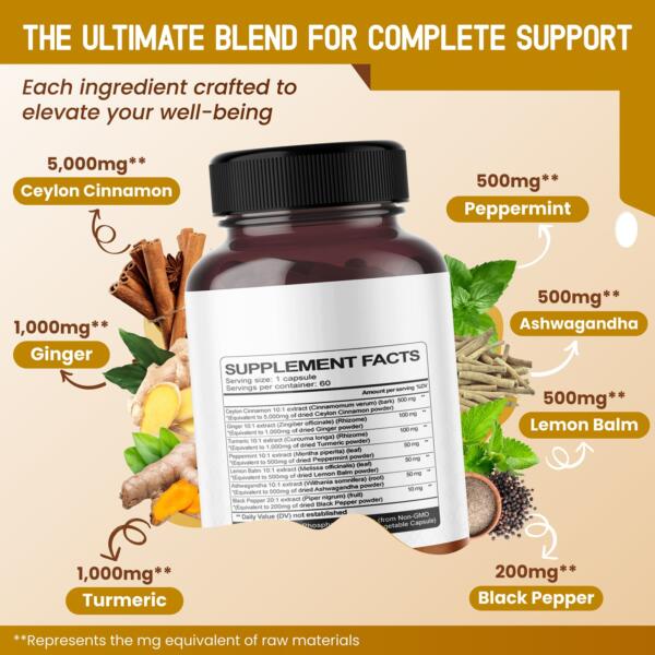 Ceylon Cinnamon Supplement - Image 2