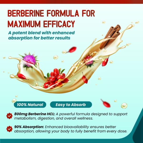 Liposomal Berberine with Cinnamon & Milk Thistle – Advanced Formula – Supports Digestion, Heart Wellness & Liver Cleanse* – 2.0 fl. oz (60ml) – Made in The USA - Image 4