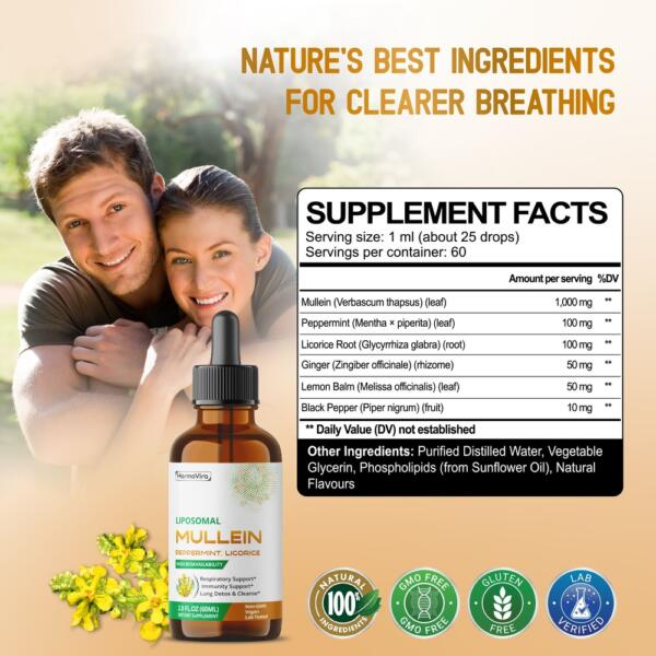 Mullein with Peppermint, Ginger & Licorice – Advanced Formula – Respiratory Support, Immunity Support & Lung Detox & Cleanse* – Net Wt. 2.0 fl oz (60ml) – Made in The USA - Image 2