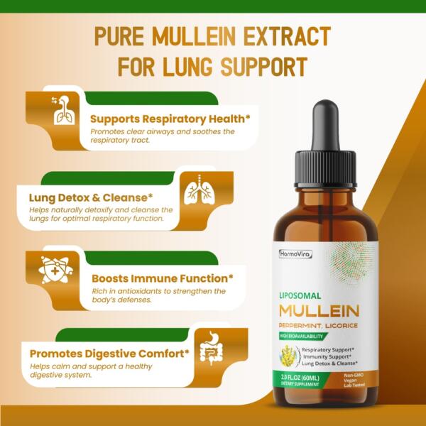 Mullein with Peppermint, Ginger & Licorice – Advanced Formula – Respiratory Support, Immunity Support & Lung Detox & Cleanse* – Net Wt. 2.0 fl oz (60ml) – Made in The USA - Image 3