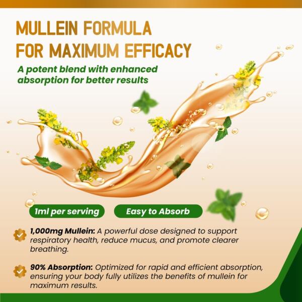 Mullein with Peppermint, Ginger & Licorice – Advanced Formula – Respiratory Support, Immunity Support & Lung Detox & Cleanse* – Net Wt. 2.0 fl oz (60ml) – Made in The USA - Image 5